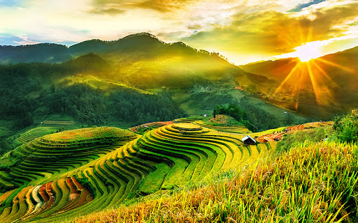 soi cầu Quảng Nam