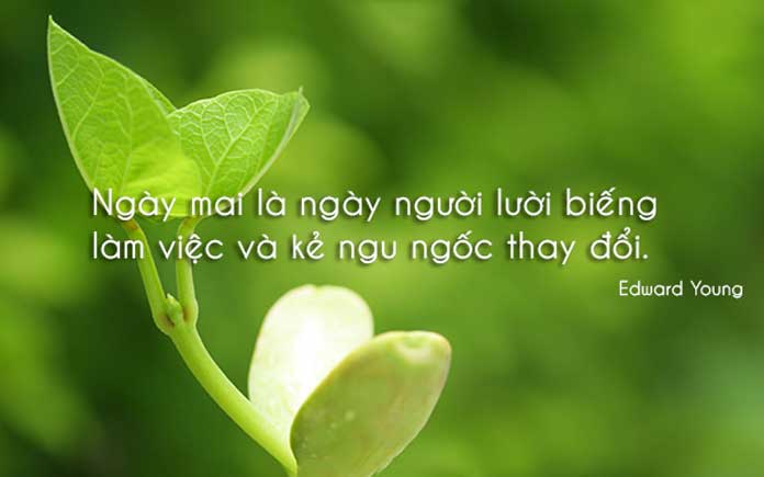 soi cầu Long An