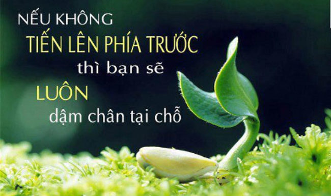 soi cầu Cà Mau