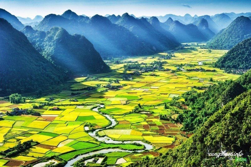 soi cầu Cà Mau
