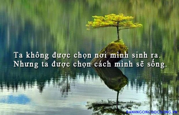 soi cầu An Giang