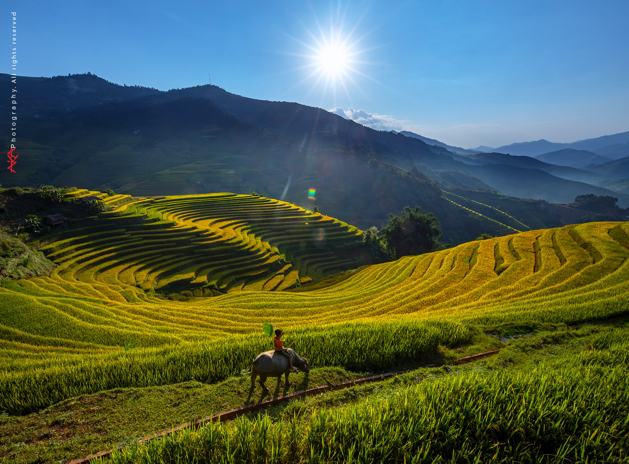 soi cầu Quảng Trị