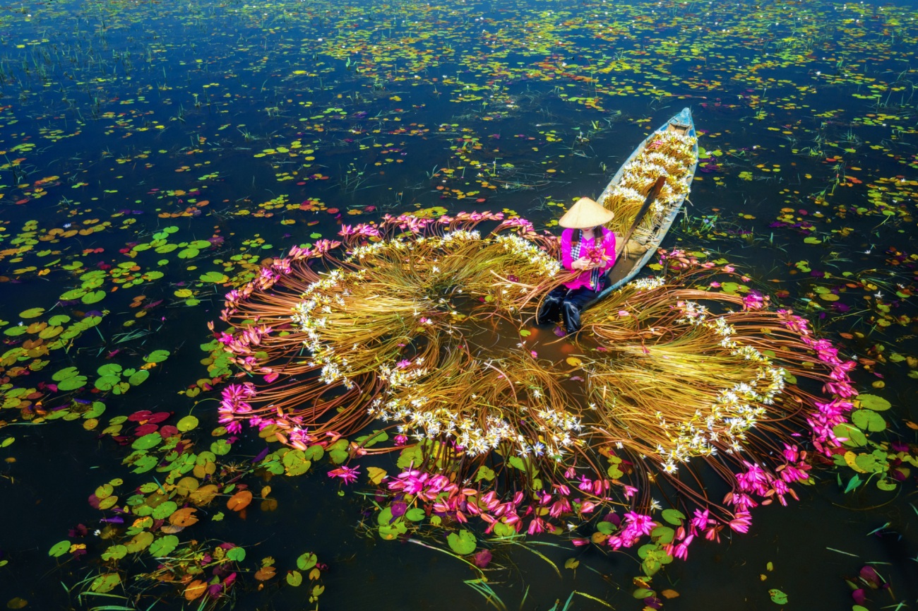 soi cầu Sóc Trăng