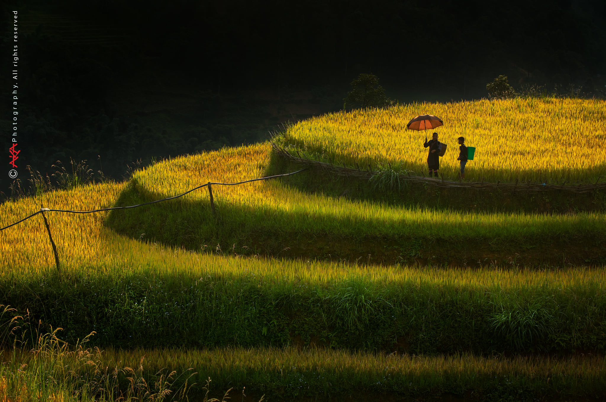soi cầu miền bắc