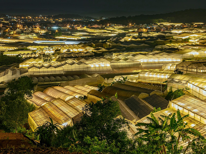 <span>Thống kê bổ sung:</span>  xổ số Đà Lạt 27-04-2025